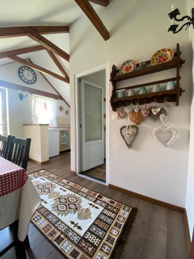 Casa Moldovan Ocna Şugatag Εξωτερικό φωτογραφία