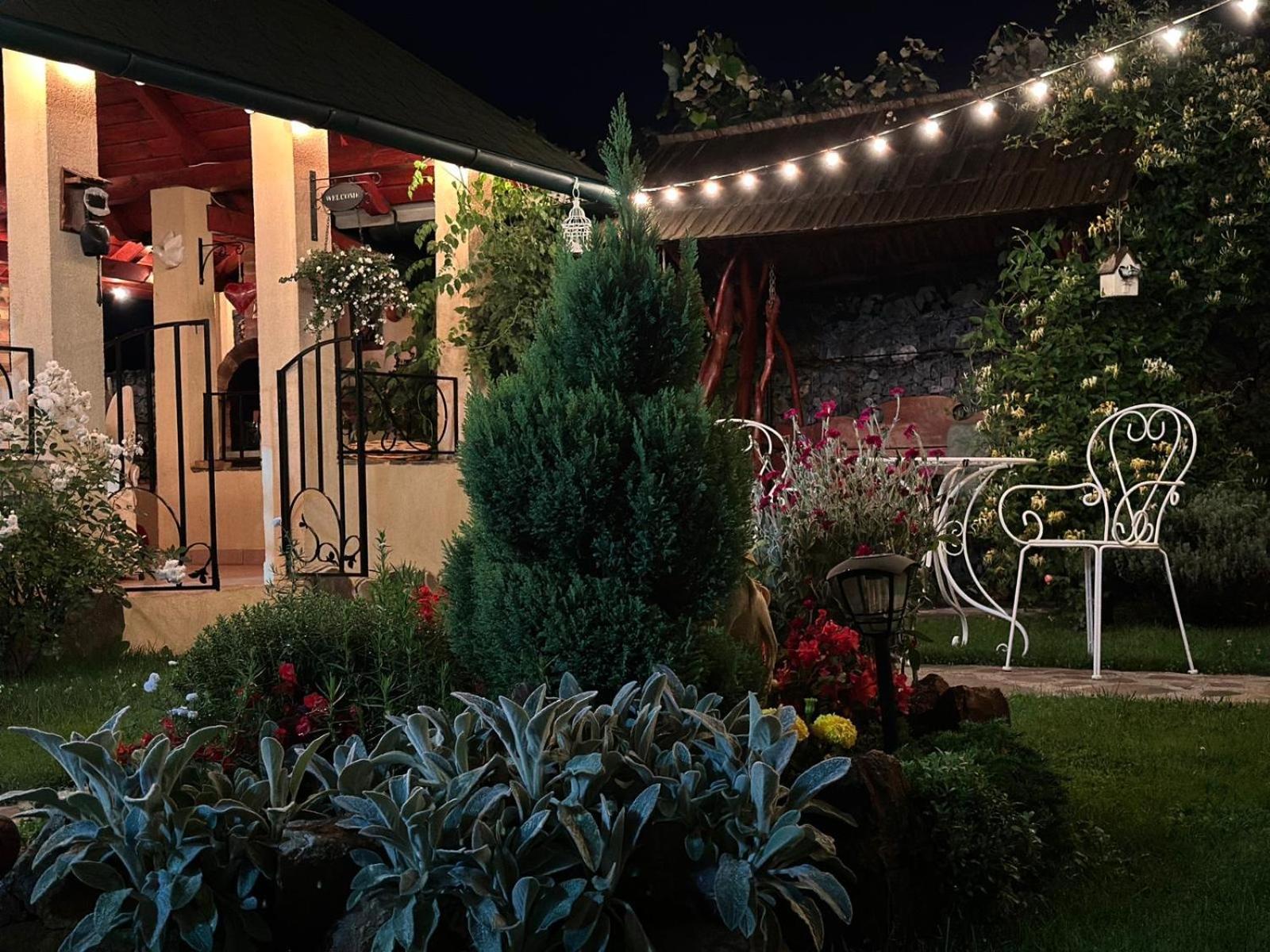 Casa Moldovan Ocna Şugatag Εξωτερικό φωτογραφία